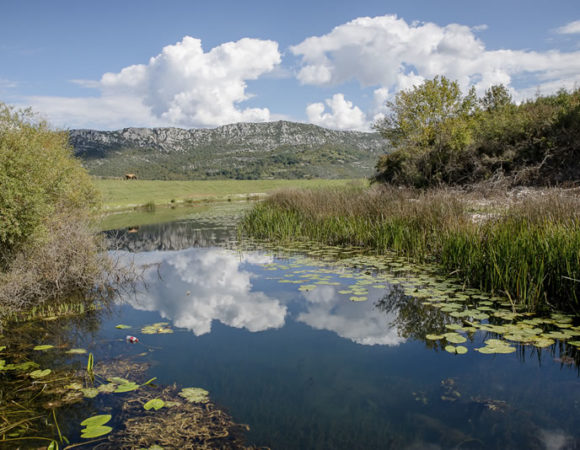 JP PARK PRIRODE HUTOVO BLATO